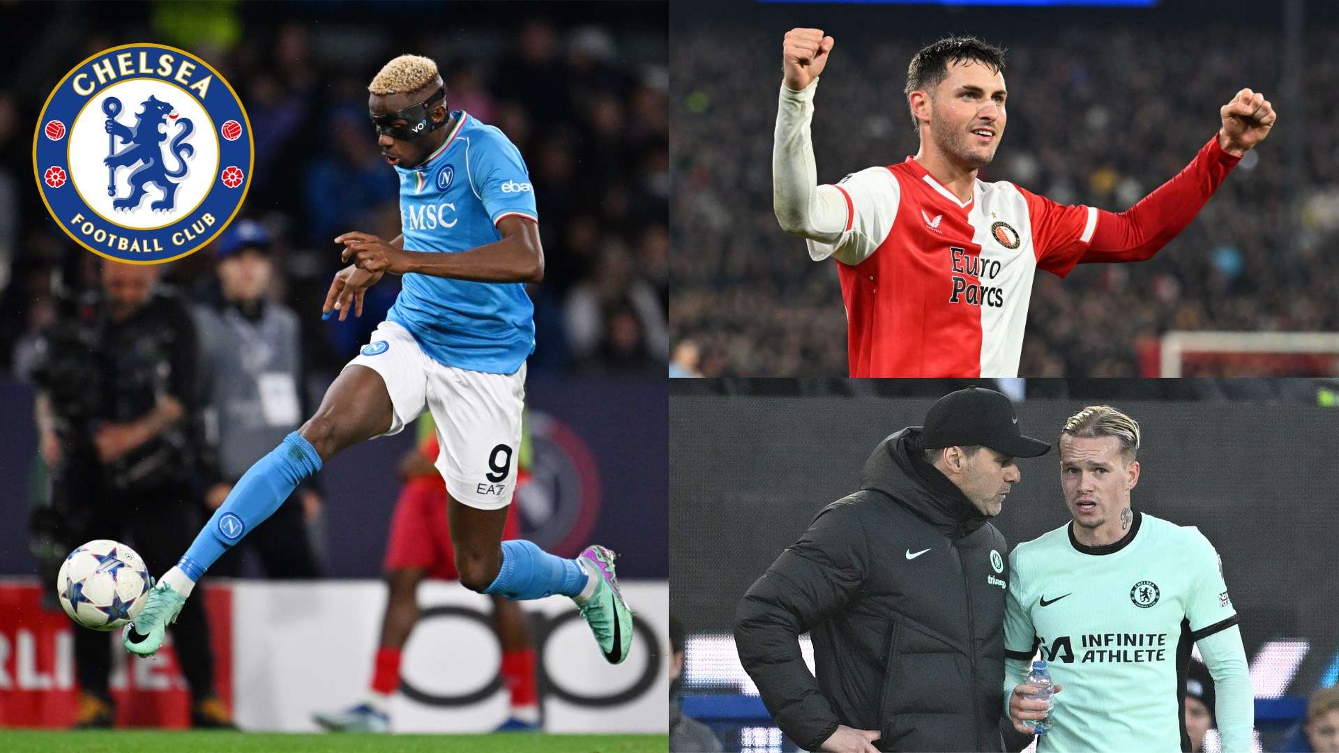 它更是一种 它更是一种