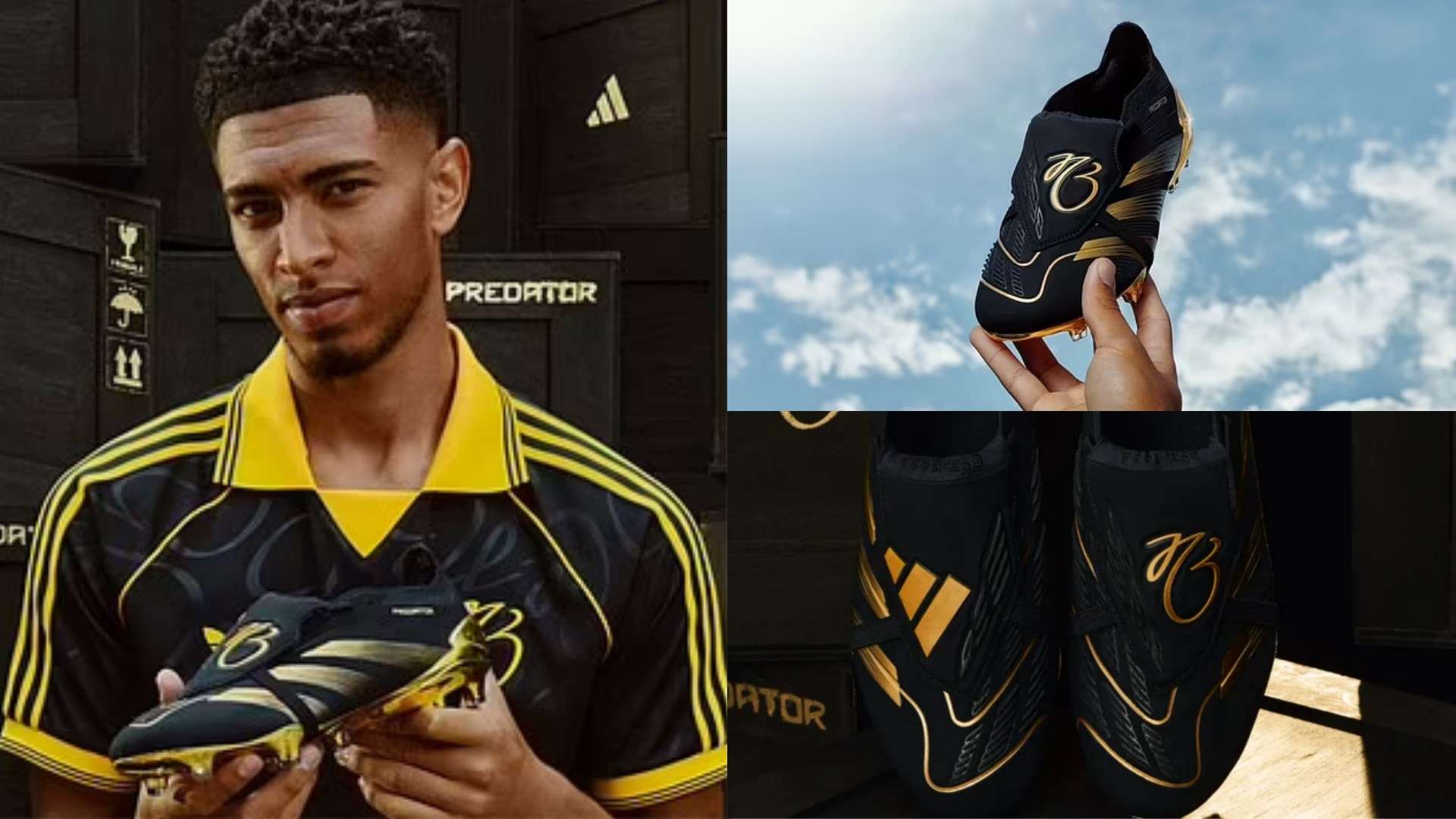 和公众关注 和公众关注